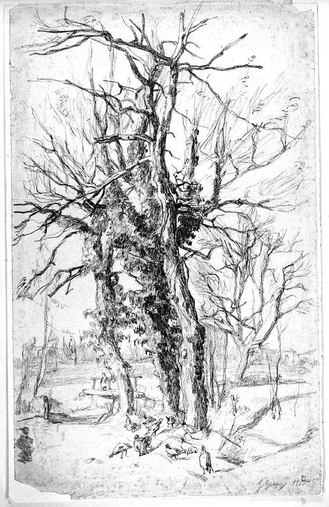 Paesaggio con alberi - Firenze